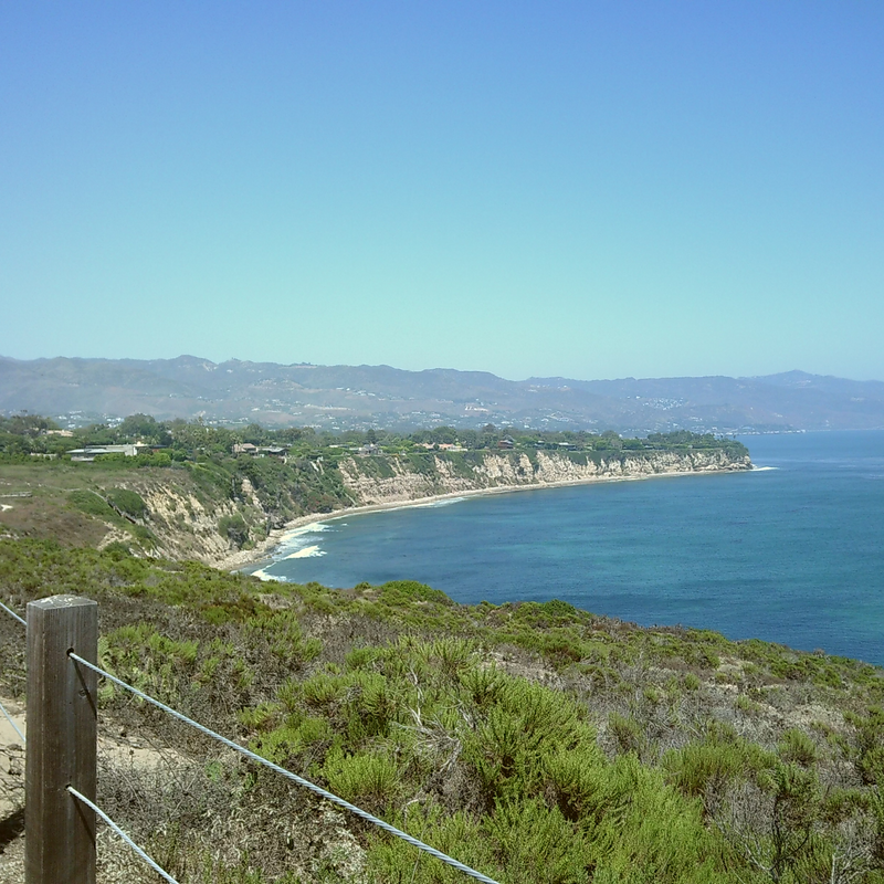 LENSY4.png__PID:3d640d37-3f8a-49b2-a3be-baa4e9048c1f