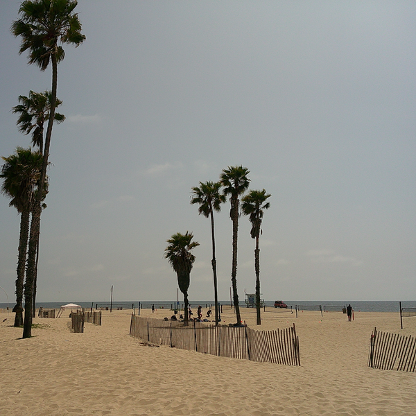 Analog filter example